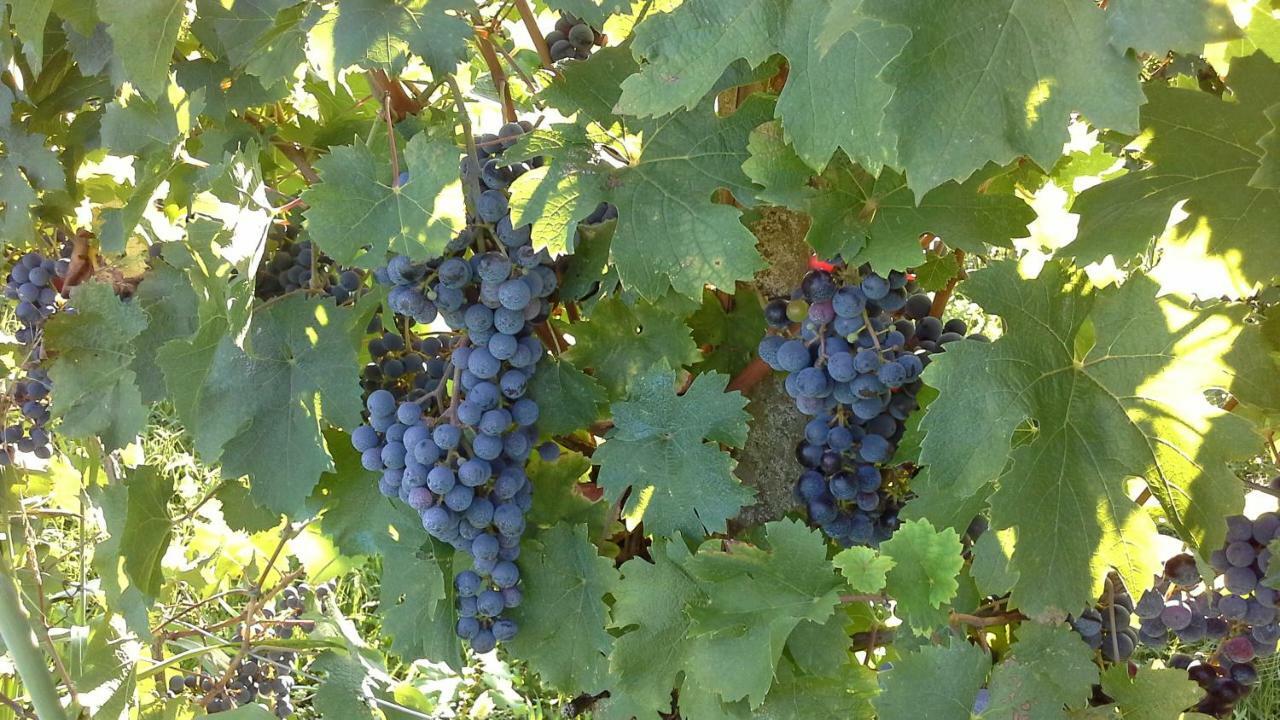 Agriturismo Le Giarine Fogliano Redipuglia Bagian luar foto