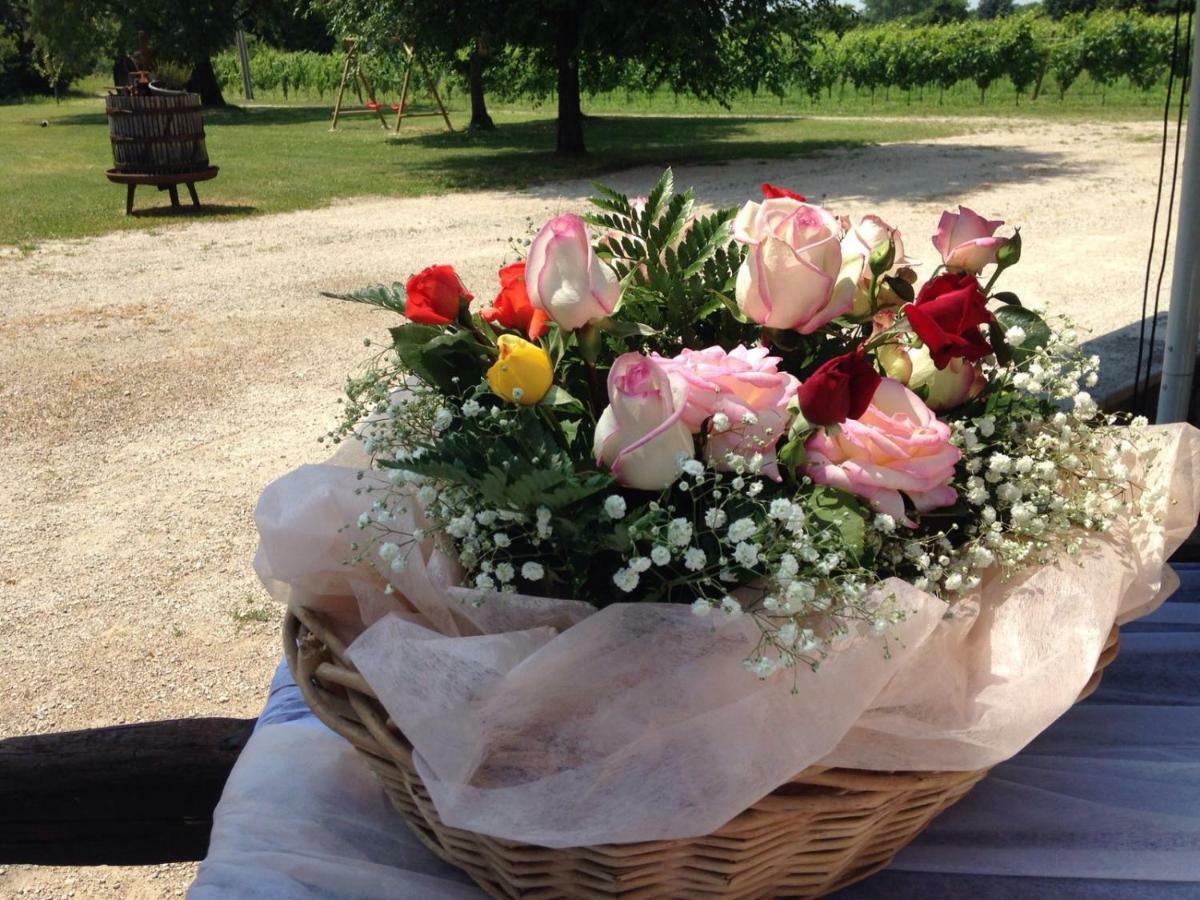 Agriturismo Le Giarine Fogliano Redipuglia Bagian luar foto