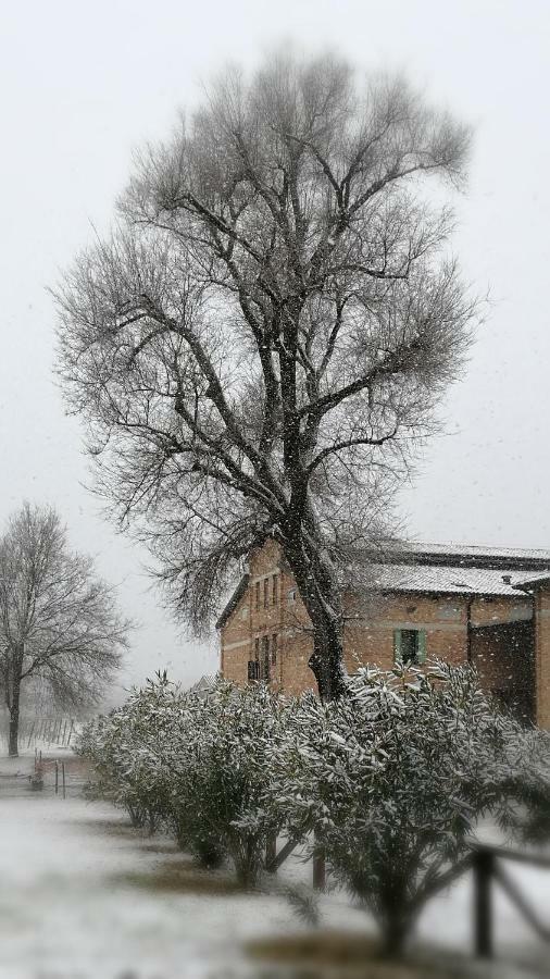 Agriturismo Le Giarine Fogliano Redipuglia Bagian luar foto